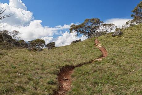 path up mount speculation