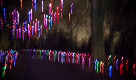 Brightly colored lines with dark shadowy trees in the background