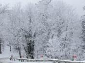 Winter Essential Items Keep Your Family Safe During Holiday Trips