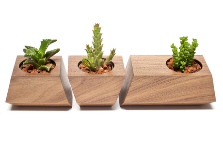 Boxcar Succulent Planters 