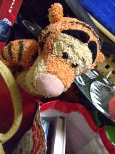 341/365 Bye Tigger, it's hard to see you go...