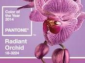 Announcing Pantone’s Color 2014 Radiant Orchid