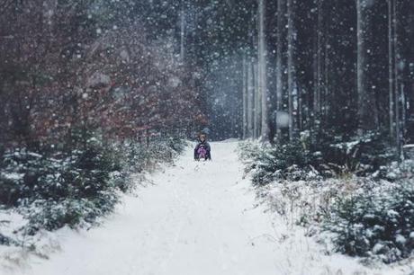 weekend-sleighride in the woods