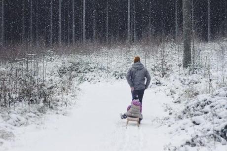 weekend-sleighride in the woods