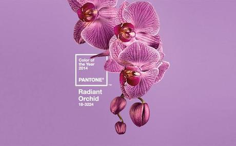 Pantone Colour Of The Year 2014: Radiant Orchid + Christmas Gift Guide