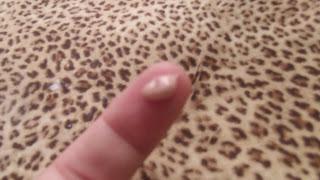 Lancome Dream Tone customized skin tone correcting serum review