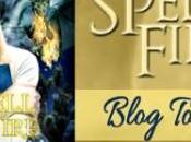 Spell Fire Blog Tour Fascination with Fiction Guest Post Author Ariella Moon