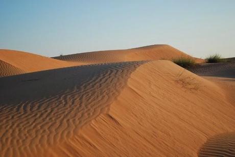 Wahiba Sands, Oman Sand Dunes