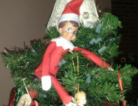 Elf on the Shelf Rascal in the Christmas Tree