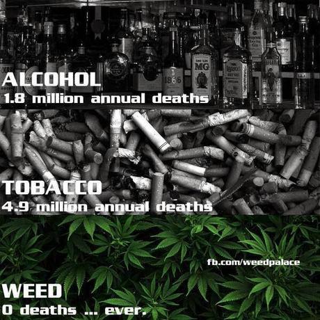 Marijuana Is NOT A Dangerous Drug