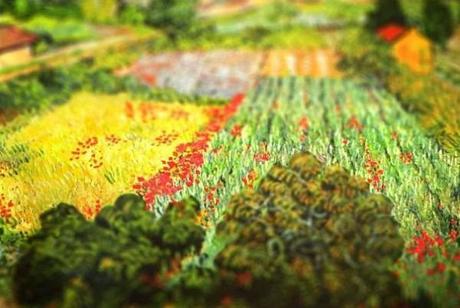 tilt-shift-van-gogh-field-with-poppies