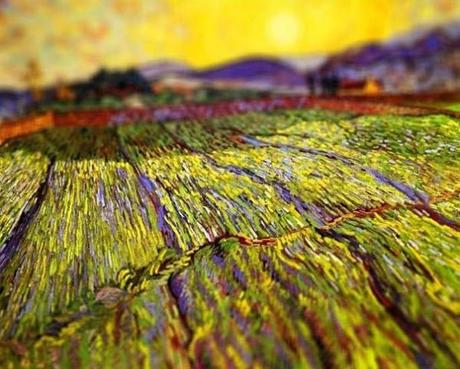 tilt-shift-van-gogh-wheat-field