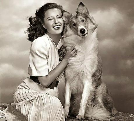 Legends of Hollywood Pose with Lovable Canines!