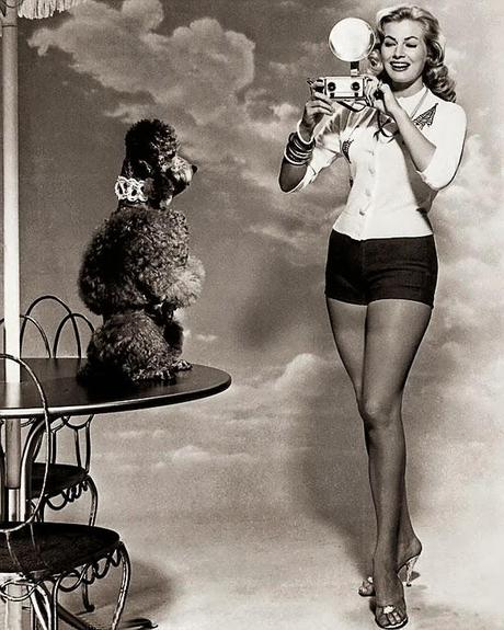Legends of Hollywood Pose with Lovable Canines!