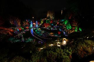 Christmas Lights at Butchart Gardens