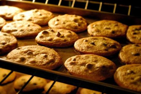 Tate's Copycat Chocolate Chip Cookies