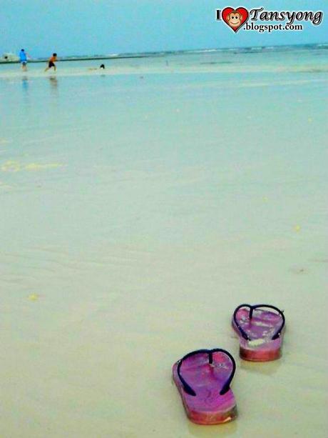 The Spectacular Panglao Island in Bohol.