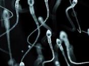 Scientists Create Remote-Controlled Cyborg Sperm Cells