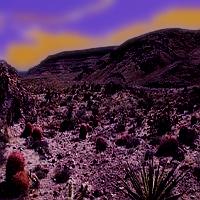Mojave Desert landscape