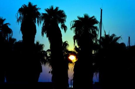 artborghi-telaviv-beach-side-2