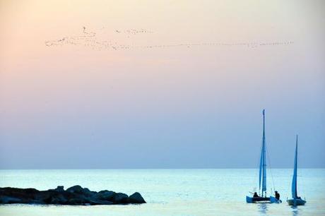 artborghi-telaviv-beach-side-5