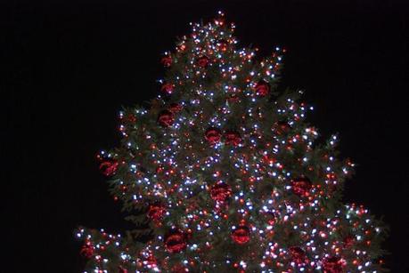 Covent Garden Christmas Tree