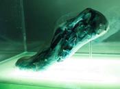 Creepy 3D-Printed Shoes Made With Living Organisms