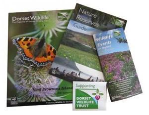 dorset-wildlife-trust