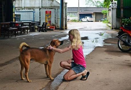 Shipyard dogs