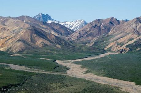 Denali National Park Landscape