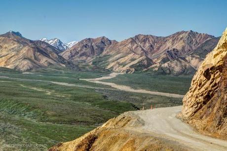 Road through Denali National Park