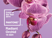 Radiant Orchid: PANTONE Color Year 2014