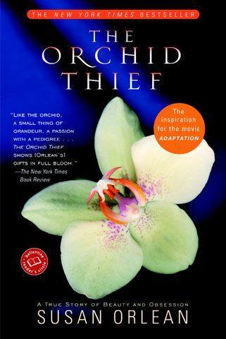orchid-thief-med
