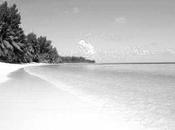 Confession Chapter Dreams