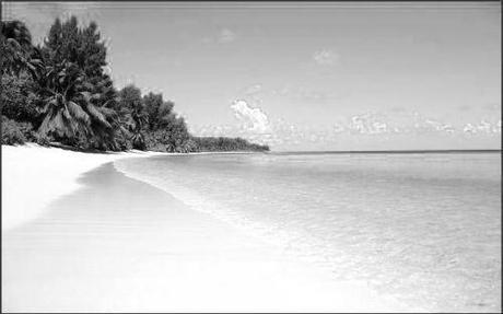 The Confession – Chapter 7 – Dreams Image courtesy : Google image search