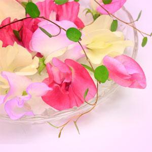 Sweet Pea Fragrance Oil