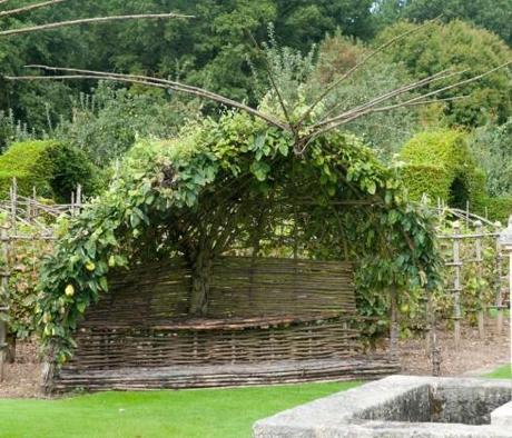 Quince tree and chair at Prieure D'Orsan