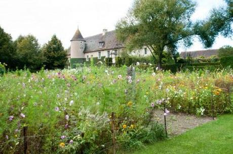 Flower meadow at Priuere D'Orsan