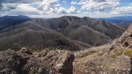 view from viking alpine national park