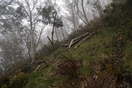 mist over mount despair alpine national park
