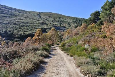 Pueblos con encanto: La Alberca and the Sierra de Francia