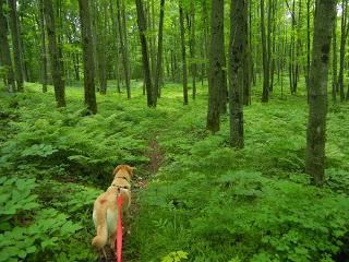 Best Hikes of 2013