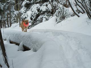 Best Hikes of 2013