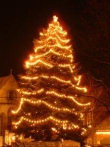 Tree_Christmas_Winter_268136_l