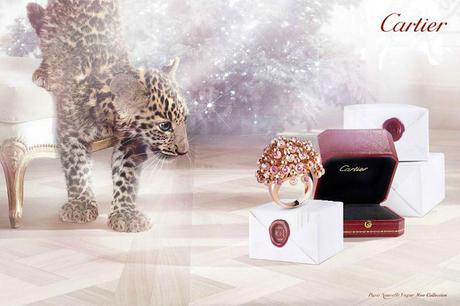 Adorable Winter Tale 2013 from Cartier Winter Tale 2013 Image 1 COF
