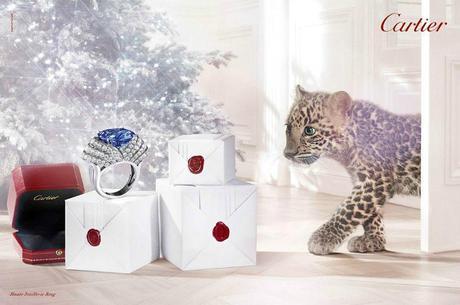 Adorable Winter Tale 2013 from Cartier Winter Tale 2013 Image 7 COF