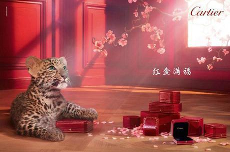 Adorable Winter Tale 2013 from Cartier Winter Tale 2013 Image 3 COF