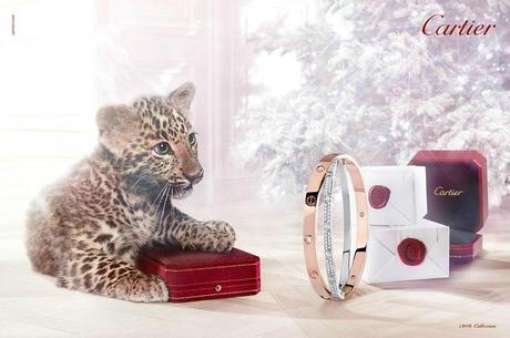 Adorable Winter Tale 2013 from Cartier Winter Tale 2013 Image 2 COF