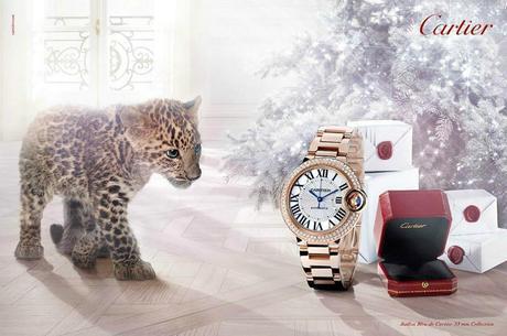 Adorable Winter Tale 2013 from Cartier Winter Tale 2013 Image 6 COF