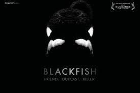 Blackfish